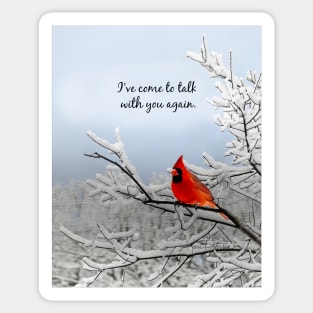 Red Cardinal Bird Photography Sticker